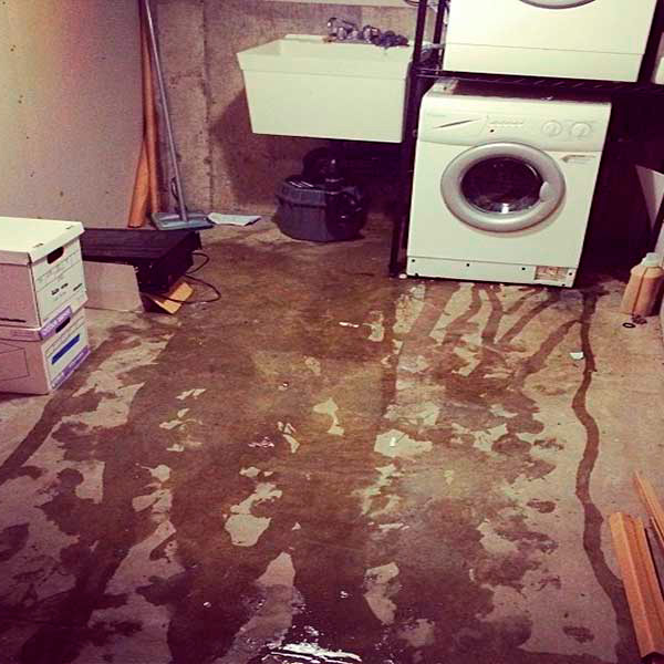 Desinindaciones en Envigado Antioquia